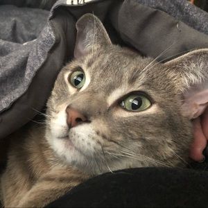 Meet your Posher, Shevonne